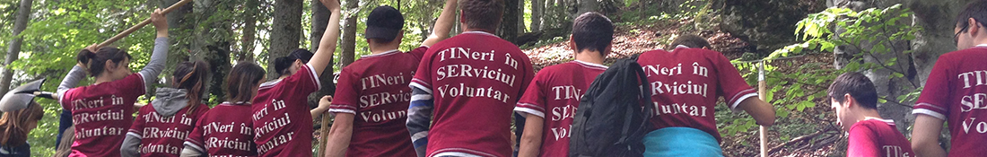 tinserv